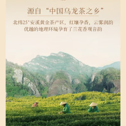 溪茶 特级清香型铁观音 50g