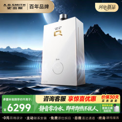 A.O.SMITH 16升增压零冷水燃气热水器 玻璃面板 不锈钢换热器质保8年 16L