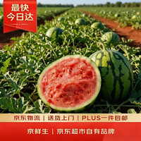 京鲜生 无籽麒麟瓜 2.5kg