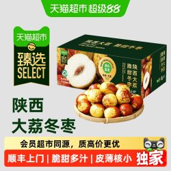 末浅 陕西大荔冬枣 新鲜脆甜 应季水果