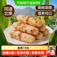 88VIP：耘和 云南西双版纳 花糯玉米 3斤