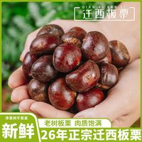 百亿补贴：老德号 河北燕山迁西板栗 1斤2斤 大果油栗带壳