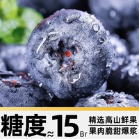 88VIP：寻天果蔬 云南蓝莓高山鲜果应季新鲜大果蓝莓孕妇水果