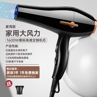 早鱼 电吹风机家用大风力负离子护发静音速干大功率理发店专用吹风筒