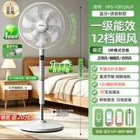海尔 直流省电电风扇落地扇2026新款纯铜家用空气循环扇一级节能