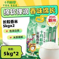 十月稻田 长粒香大米 东北粳米 10kg