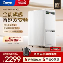 Deye 双变频除湿机 家用净化地下室防潮别墅轻音智能抽湿器P40