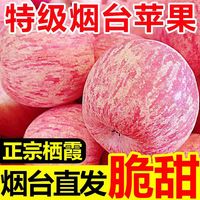 山东正宗烟台红富士苹果新鲜水果当季水果整箱好果批发黄金现摘