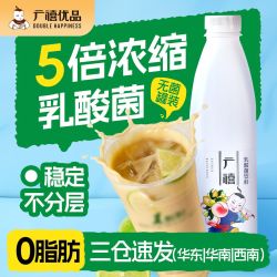 广禧 乳酸菌1.2kg 浓缩优酪多酸奶饮料商用奶茶饮品店专用原料