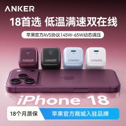 Anker 安心充Pro+新款45W苹果充电器+2米快充线