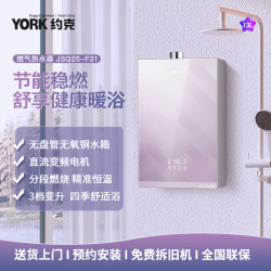 约克 燃气热水器JSQ25-F31
