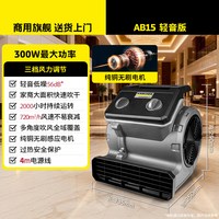 卡赫 德国卡赫吹地机地面吹干机家商两用吹风机地毯厕所地板除湿AB15