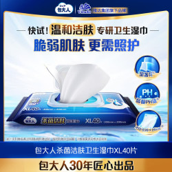 包大人 Dr.P）杀菌洁肤成人护理卫生湿巾40片 单包