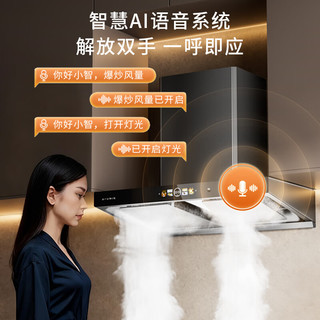 国美 变频顶吸+翻盖十腔猛火灶 天然气 烟灶两件套