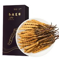 云南白药 冬虫夏草 1g
