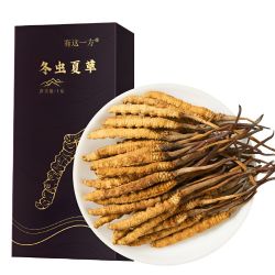 云南白药 冬虫夏草 5根/g 1g*1盒