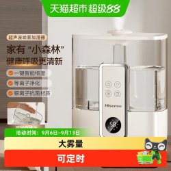 海信 空气加湿器家用小型客厅大雾量孕妇婴儿卧室大喷雾器2026新款