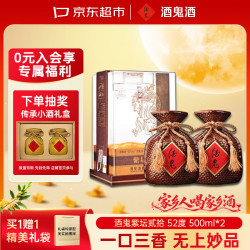 酒鬼 紫坛贰拾 柔和 52%vol 馥郁香型白酒 500ml*2瓶 双支装