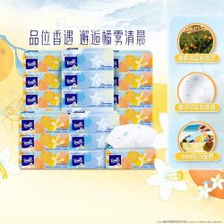 得宝 四层印花抽纸 s码 80抽*20包