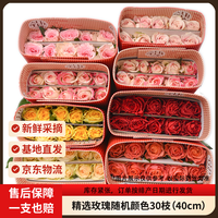 京东鲜花 玫瑰花30枝无土栽培枝长鲜切花山东基地源头直发