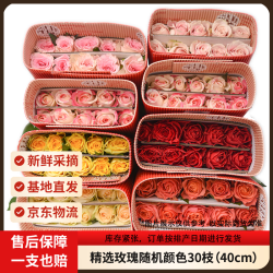 京东鲜花 玫瑰花30枝无土栽培枝长鲜切花山东基地源头直发