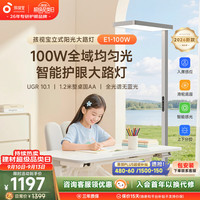 孩视宝 E1 全光谱红光护眼 100W 立式大路灯