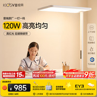 童视界 普瑞红光护眼大路灯 全光谱 120W 落地台灯