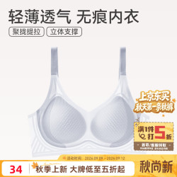 芬腾 内衣女士无钢圈大胸显小  0662浅兰  2XL