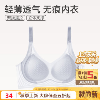 芬腾 内衣女士无钢圈大胸显小  0662浅兰  2XL