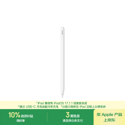 Apple Pencil 手写笔（USB-C）