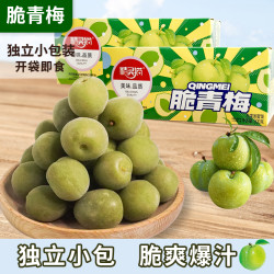 精灵猫 爽口脆青梅清脆话梅蜜饯独立包装爆汁酸甜青脆梅