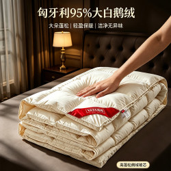 鸭鸭（YAYA）95%白鹅绒被芯200*230cm 羽绒填充600G