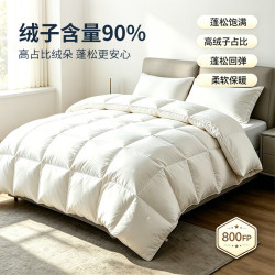 鸭鸭（YAYA）羽绒被 90%白鸭绒被芯150*210cm羽绒填充400G