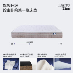 LYNPON HOUSEWARE 2代椰棕乳胶独袋装弹簧床垫1.8米x2米偏硬