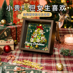 光彩年华 圣诞树积木拼装玩具装饰手工diy摆件相框生日礼物送女生女朋闺蜜