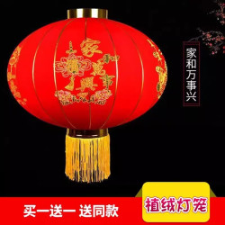 2026新款大红灯笼挂饰过年新年阳台大门口一对户外春节装饰吊宫灯