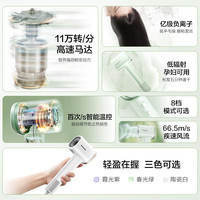 Panasonic 电吹风小森林高速吹风机负离子家用送女友礼物