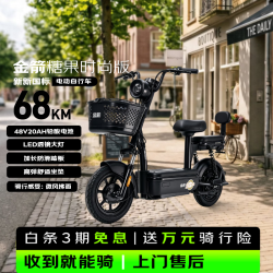 金箭 糖果 48V20Ah 铅酸新国标电动车醇黑色