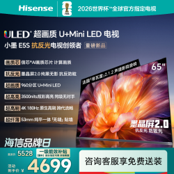 海信 电视 65E5S
