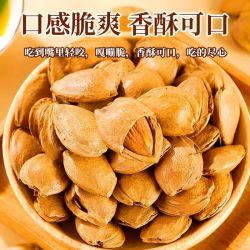 天昆果王 开口杏核非巴旦木干果炒货坚果