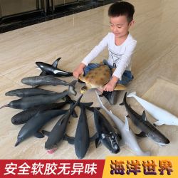 仿真大号海洋动物模型海底生物塑胶鲨鱼充棉海豚儿童玩具鲨鱼鲸鲨