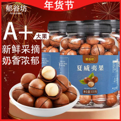 新货奶香味夏威夷果26mm+特大颗粒500gX3罐年货送礼坚果零食炒货