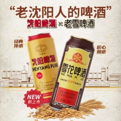 SNOWFLK 沈阳老雪500ml*9听+沈阳啤酒500ml*6听