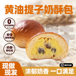熊治 黄油提子奶酥包早餐小面包点心糕点代餐全麦提子面包 现做现发 黄油提子奶酥包800g（10包）