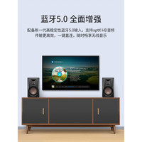 惠威 D300 有源音箱