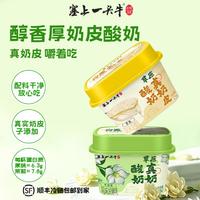 塞上一头牛 草原真奶皮酸奶125g  0香精0防腐剂 营养低温酸奶  原味*4杯+茉莉味*4杯