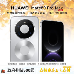 华为 Mate 80 Pro Max 手机 16GB+512GB 极地银