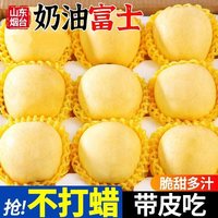 泽华果品 山东烟台栖霞奶油富士苹果 奶油苹果净重4.5斤10-12个中果
