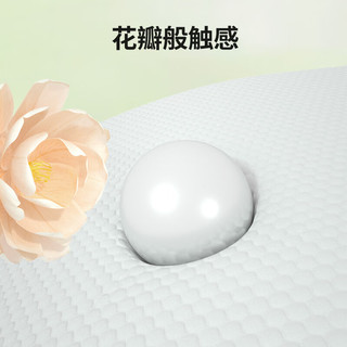 家得宝 金御山茶花拉拉裤 XXL码3片