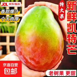 云南芒果甜青皮现摘 单果400g+